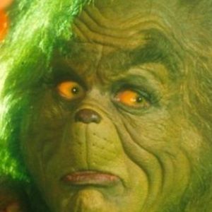 Meet your Posher, Ella